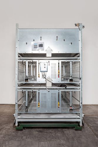 雏鸡饲养系统 - Specht – Ten Elsen GmbH & Co KG