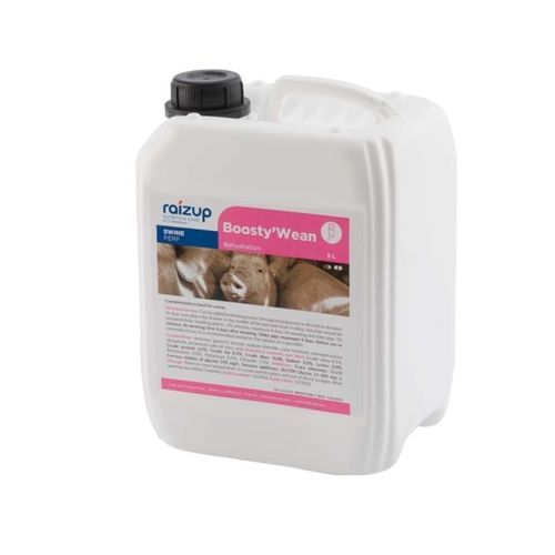 动物饲料补充剂 - Boosty’Wean - RAIZUP NUTRITION CARE - 猪 / 液体 / 用于消化