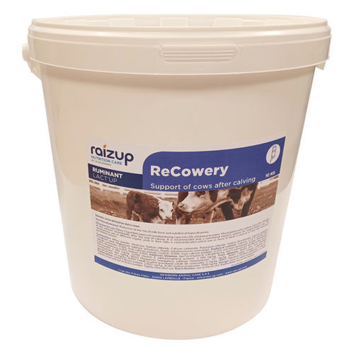 动物饲料补充剂 - ReCowery - RAIZUP NUTRITION CARE - 牛 / 维生素 / 微量元素丰富