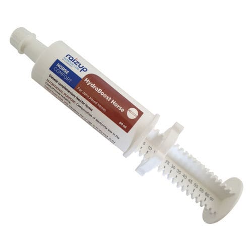 动物饲料补充剂 - HydraBoost - RAIZUP NUTRITION CARE - 马用 / 糖 / 用于消化