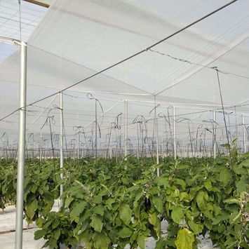 植物支撑农用线绳 - Fabricación de agrotextiles y distribución de Accesorios para Invernaderos. - 园艺