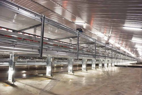 无笼子禽舍系统 - Open Aviary - POTTERS POULTRY LTD - 蛋鸡 / 2 层式 / 室内