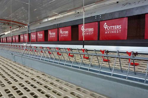 鸡繁殖巢系统 - POTTERS POULTRY LTD - 2 层式