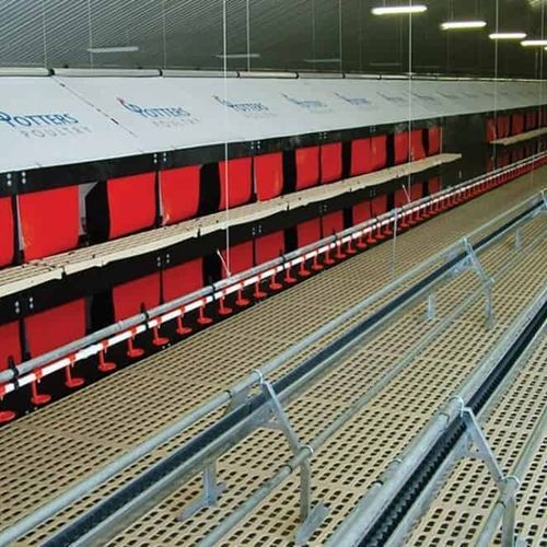 蛋鸡繁殖巢系统 - AVINEST - POTTERS POULTRY LTD