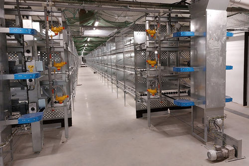 禽舍雏鸡饲养系统 - Compact - POTTERS POULTRY LTD - 多层