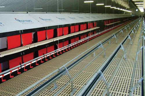 塑料漏粪板 - POTTERS POULTRY LTD - 钢 / 用于家禽养殖