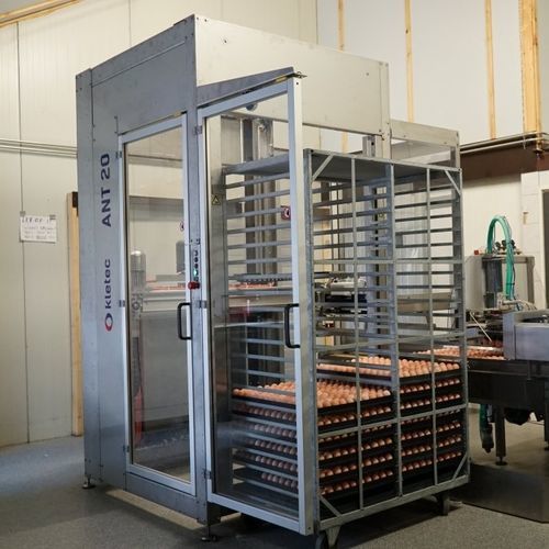 孵化用蛋鸡蛋传送系统 - ANT20 - KLETEC BV - 自动