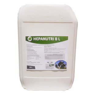动物饲料补充剂 - HEPANUTRI B L - NUTRI-CONCEPT - 牛 / 绵羊 / 山羊