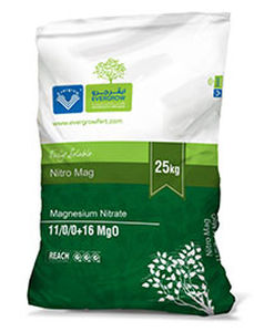 氮肥料 - Nitro Mag - EVERGROW GROUP - 高镁 / 颗粒 / 缺陷校正