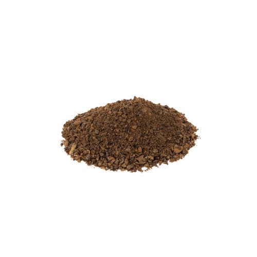 菜豆种子 - Vicia Faba Proxy - DANIS