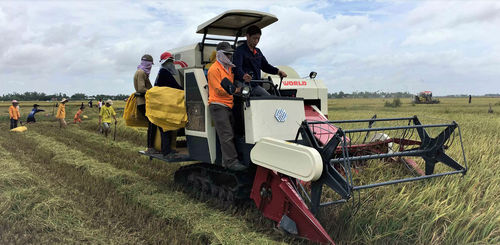 水稻收割机 - Ruilong 4LZ-4.0E - Jiangsu WORLD Agricultural Machinery Co., Ltd. - 拖拉机悬挂