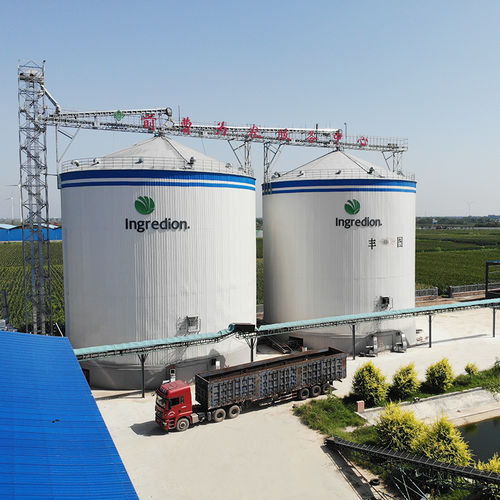 平底筒仓 - Dongying Fengtu Intelligent Storage Co., Ltd - 谷物 / 粗麦粉 / 麦麸
