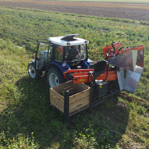 带托盘箱收割机 - WERINGEN RVE-1 with pallet box - Weringen - 蔬菜 / 香芹 / 拖拉机悬挂