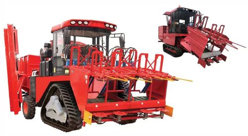 玉米收割机 - 4YZT-4/4C - EZ-Union Agrucultural Machinery Co.,Ltd.