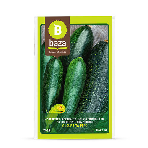 早熟西葫芦种子 - 7062 - BAZA Seeds Holland b.v. - 绿色