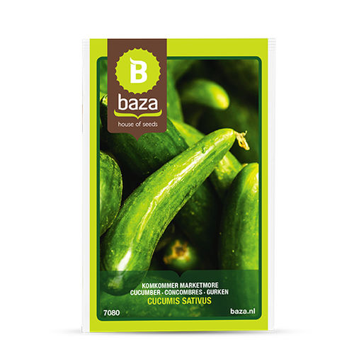 黄瓜种子 - 7080 - BAZA Seeds Holland b.v.
