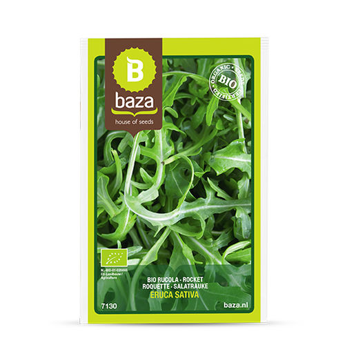 生物野芝麻菜种子 - 7130 - BAZA Seeds Holland b.v.