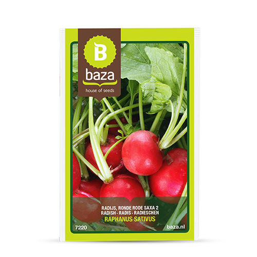 小萝卜种子 - 7220 - BAZA Seeds Holland b.v.