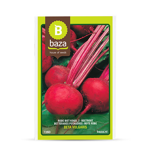 食用甜菜种子 - 7260 - BAZA Seeds Holland b.v. - 红色 / 圆形