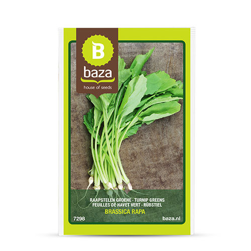 早熟白萝卜种子 - 7298 - BAZA Seeds Holland b.v. - 秋季