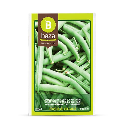 菜豆种子 - 7340 - BAZA Seeds Holland b.v.