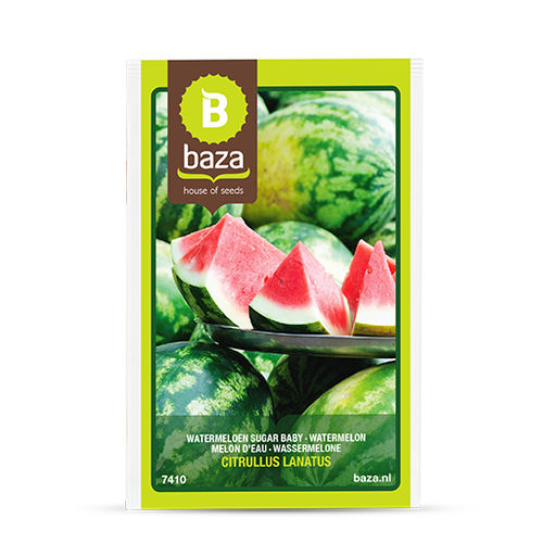 大棚栽培西瓜种子 - 7410 - BAZA Seeds Holland b.v.