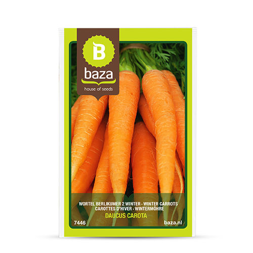 早熟胡萝卜种子 - 7446 - BAZA Seeds Holland b.v. - 冬季