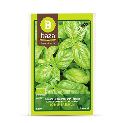 秋季罗勒种子 - 8210 - BAZA Seeds Holland b.v. - 生物