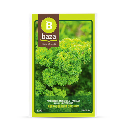 欧芹种子 - Moskrul 2 - BAZA Seeds Holland b.v.