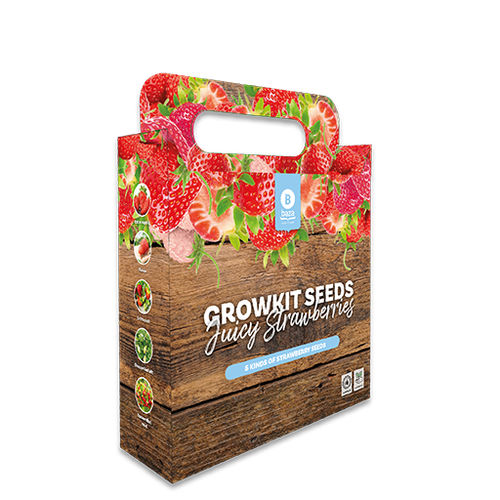 圆形草莓种子 - BAZA Seeds Holland b.v.
