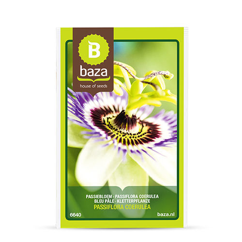 多年生花卉种子 - Passiflora coerulea - BAZA Seeds Holland b.v. - 蓝色 / 紫色 / 攀缘