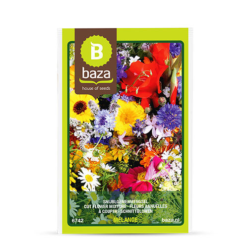 鲜切花花卉种子 - 6742 - BAZA Seeds Holland b.v. - 一年生 / 混色 / 混合