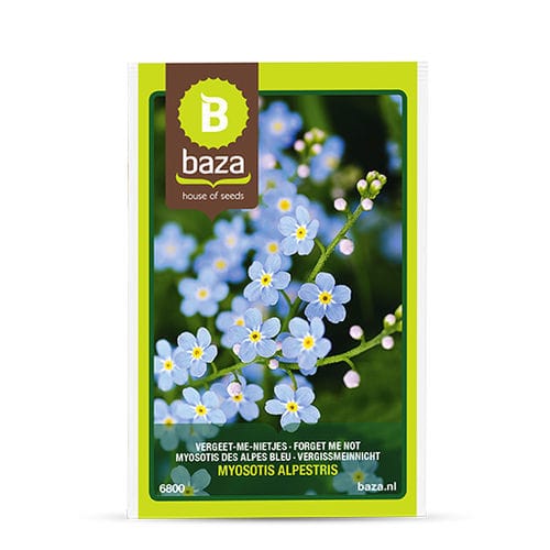 一年生花卉种子 - Myosotis des Alpes - BAZA Seeds Holland b.v. - 黄色 / 蓝色 / 花圃