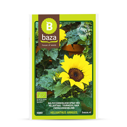 生物向日葵种子 - 6880 - BAZA Seeds Holland b.v.