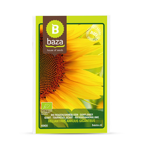 冬季向日葵种子 - 6900 - BAZA Seeds Holland b.v.