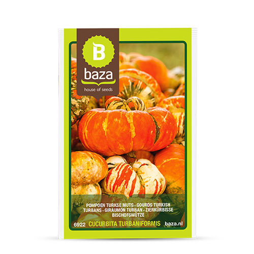 一年生南瓜种子 - Gourds Turkish turbans - BAZA Seeds Holland b.v.