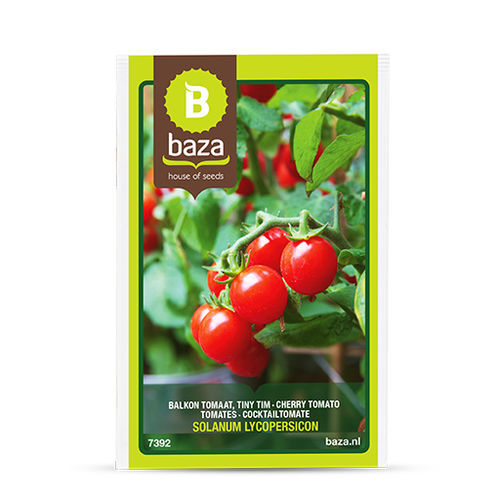 红色番茄种子 - 7392 - BAZA Seeds Holland b.v. - 圆形 / 大棚栽培 / 罐装