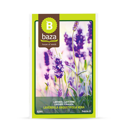 多年生花植物 - 8260 - BAZA Seeds Holland b.v. - 紫色 / 用于花园