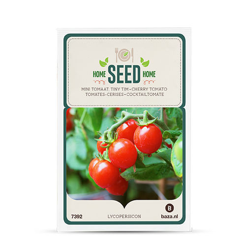 红色番茄种子 - 707392 - BAZA Seeds Holland b.v. - 大棚栽培