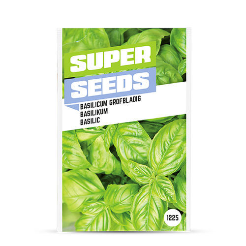 生物罗勒种子 - 1225 - BAZA Seeds Holland b.v.