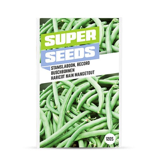 绿色菜豆种子 - 1205 - BAZA Seeds Holland b.v.