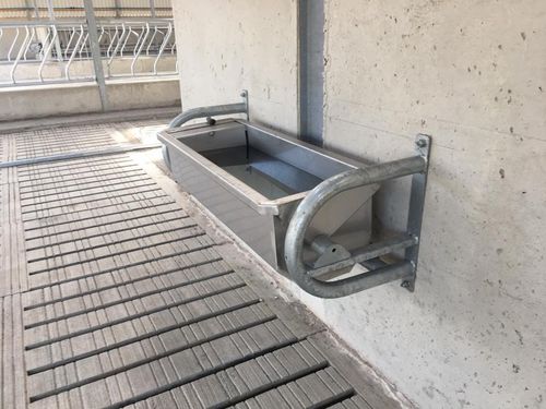 犊牛饮水器 - Tip-Over - Condon Engineering - 牛 / 槽型 / 不锈钢