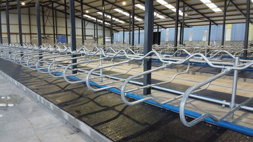 宽度可变牛舍隔栏 - Adjustable Cantilever - Condon Engineering - 镀锌