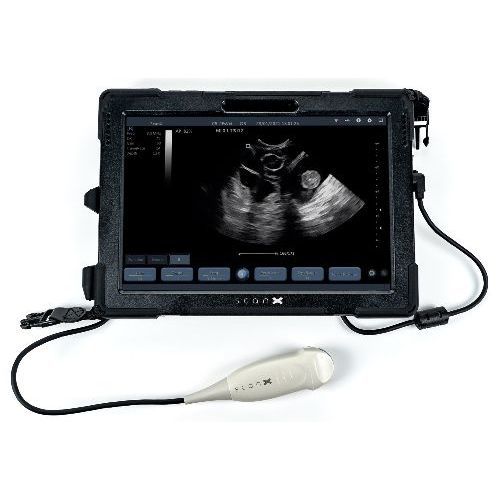 便携式兽用超声诊断仪 - ScanX Ultrasound - 大型动物 / 犬用 / 用于猫
