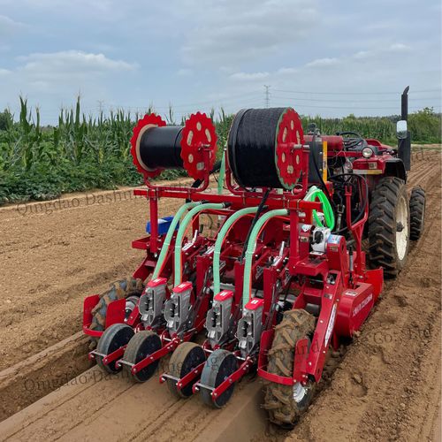气动精密播种机 - 2QS-4H - Qingdao Dashun Jingfeng Agricultural Machinery Co., Ltd. - 4行 / 蔬菜 / 三点悬挂