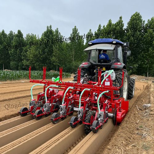 气动精密播种机 - 2DS-5H - Qingdao Dashun Jingfeng Agricultural Machinery Co., Ltd. - 5行 / 蔬菜 / 三点悬挂
