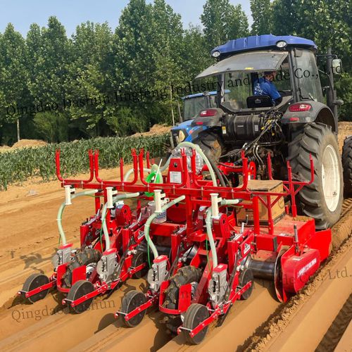 气动精密播种机 - 2DS-4H - Qingdao Dashun Jingfeng Agricultural Machinery Co., Ltd. - 4行 / 蔬菜 / 三点悬挂