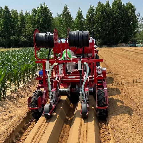 小萝卜精密播种机 - 2DS-2H - Qingdao Dashun Jingfeng Agricultural Machinery Co., Ltd. - 气动 / 2行 / 蔬菜