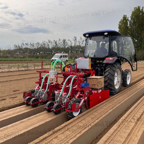 气动精密播种机 - 2BS-4H - Qingdao Dashun Jingfeng Agricultural Machinery Co., Ltd. - 4行 / 蔬菜 / 三点悬挂