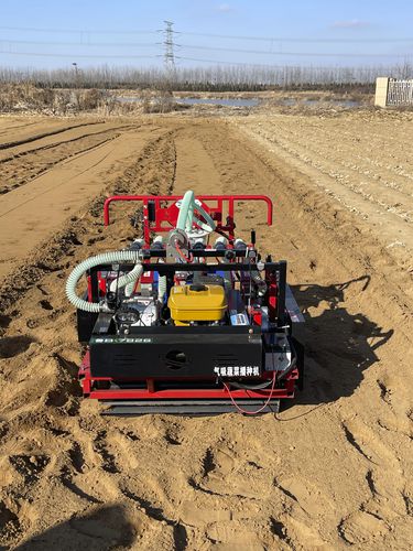 气动精密播种机 - 2BSG-8H - Qingdao Dashun Jingfeng Agricultural Machinery Co., Ltd. - 8行 / 蔬菜 / 手推自行式